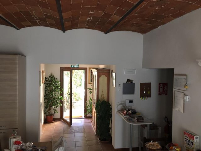 16996211_779481402228501_2993790319240260509_n