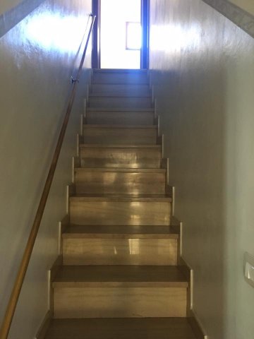17264159_779479568895351_2312308308483162426_n